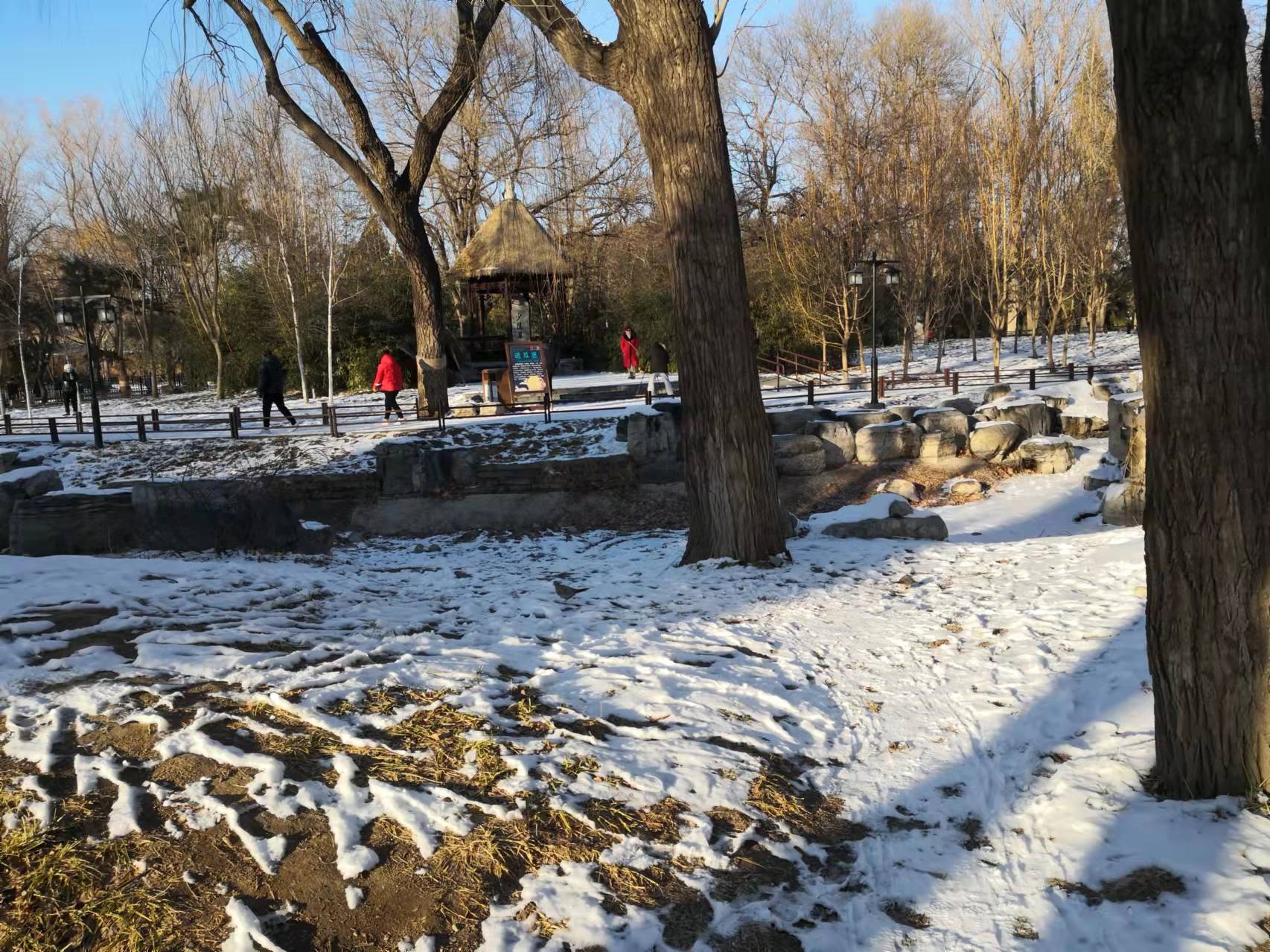 过年了天蓝蓝（诗歌十首）北京张新贵