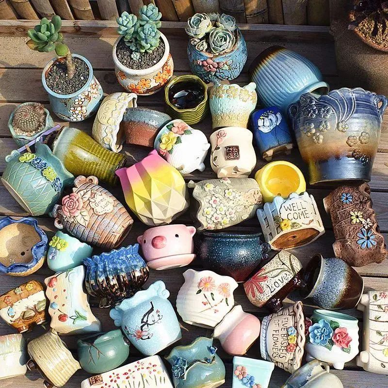 养花用陶瓷盆还是紫砂盆好,塑料盆和陶盆的优缺点