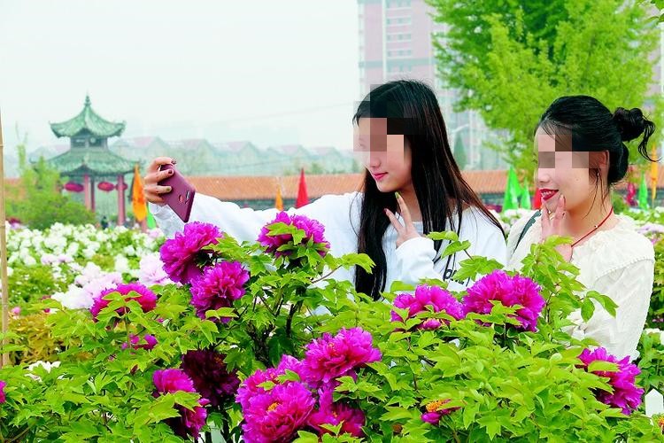 高档食用油营销策划书,食用油营销策略案例