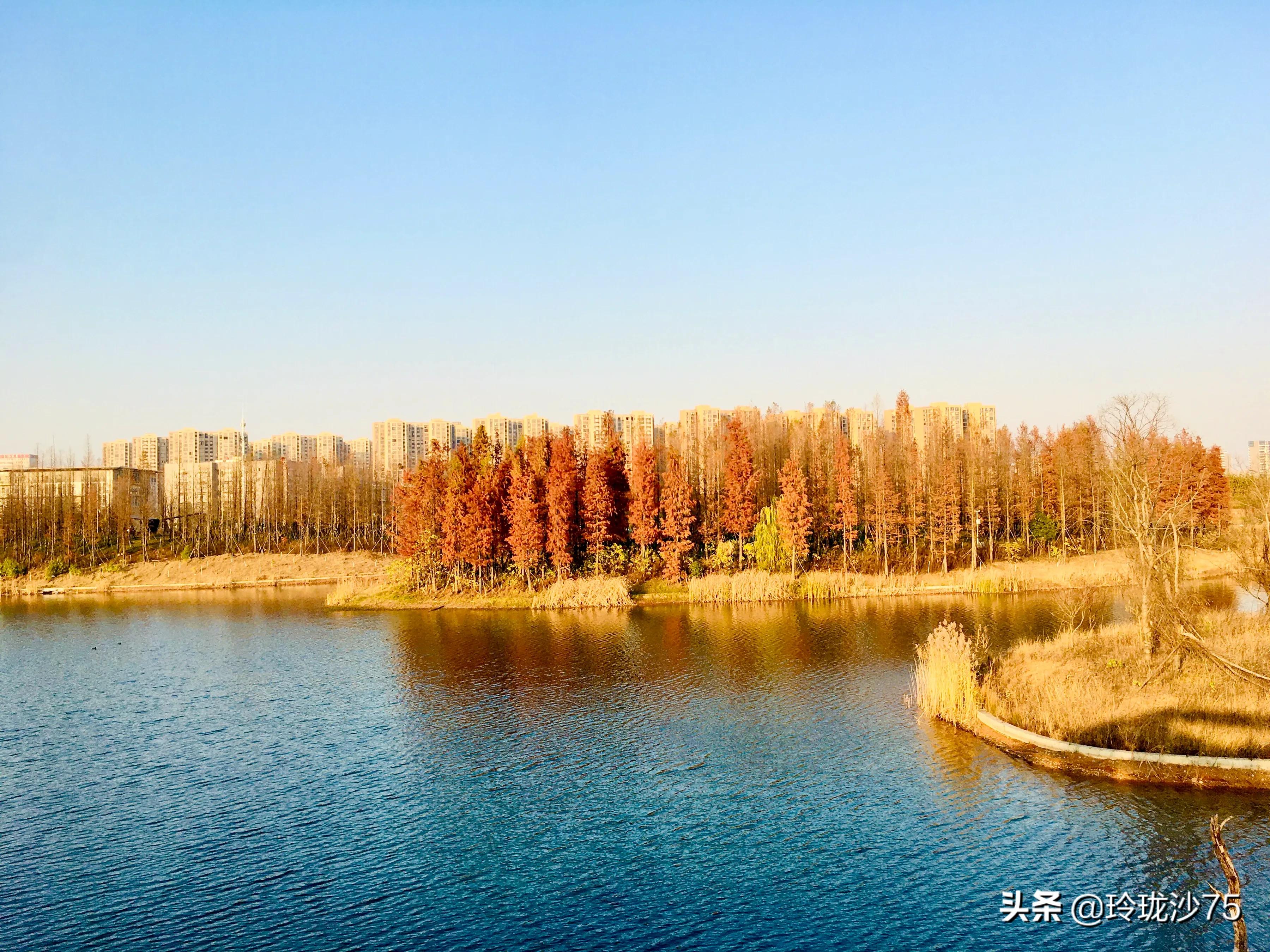 长沙风景美丽的篮球场,长沙王陵公园生态足球场