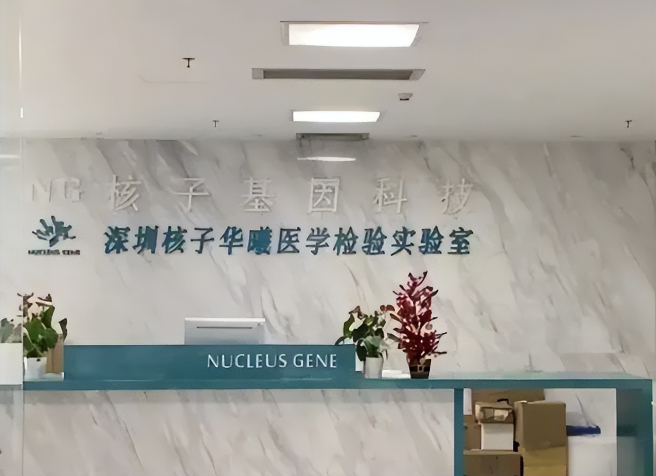 张珊珊注册了陕西多少家核酸公司,张珊珊在全国注册35家核酸公司