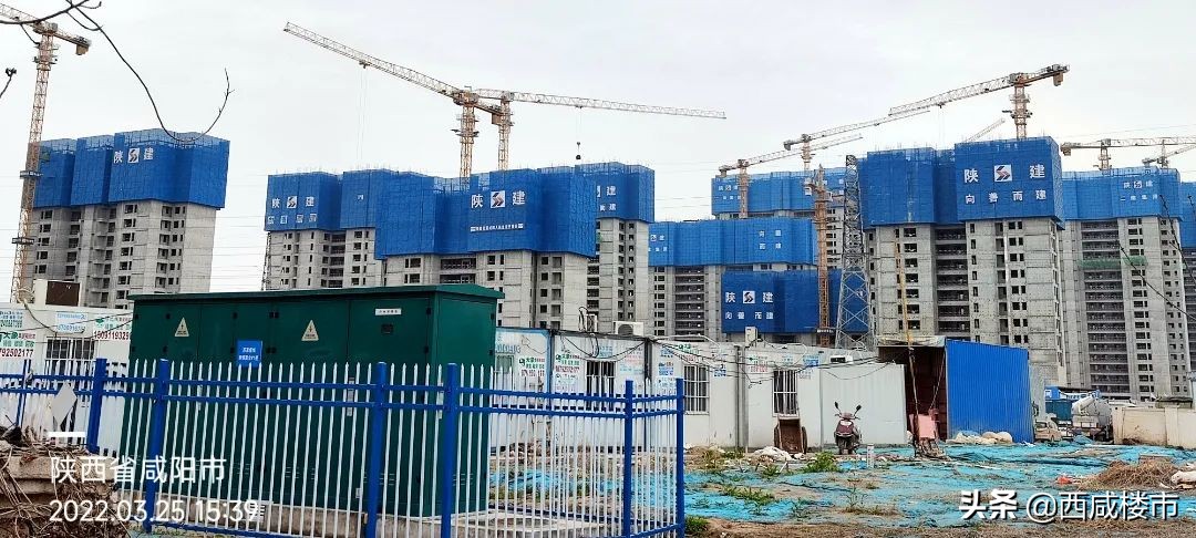 咸阳金科楼盘工程进度,咸阳所有在售楼盘价格