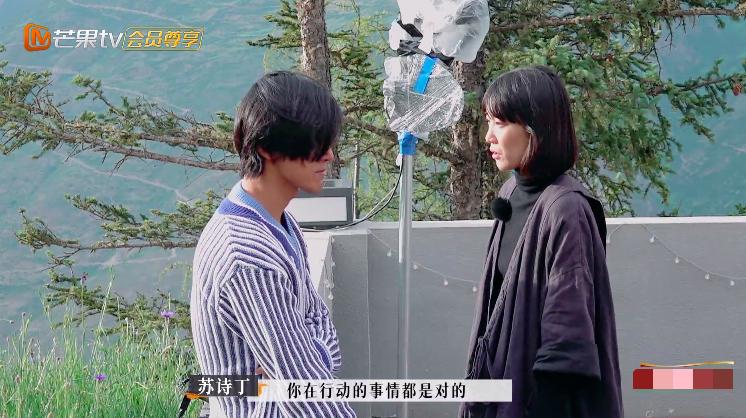 苏诗丁和卢歌再见爱人结局,再见爱人2苏诗丁和卢歌复合了吗