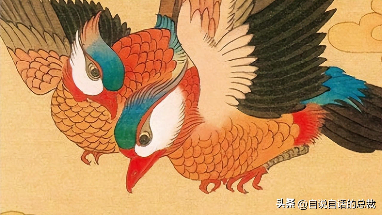 乌鸦为什么是外星人,外星人至今还未出现的5大原因