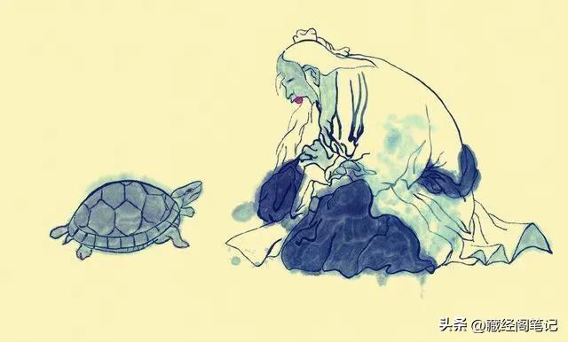 道家养生功法龟功,乌龟修仙训练视频