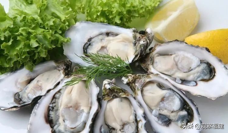 诏安秋天吃什么海鲜,福建各种海鲜图片大全