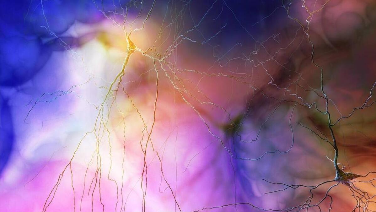 不用戒烟了？吸烟有害健康是“*局骗**”，尼古丁不致癌？告诉你真相