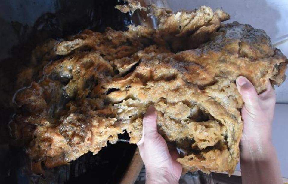 1斤能卖多少钱的东西,1斤以内太岁出售