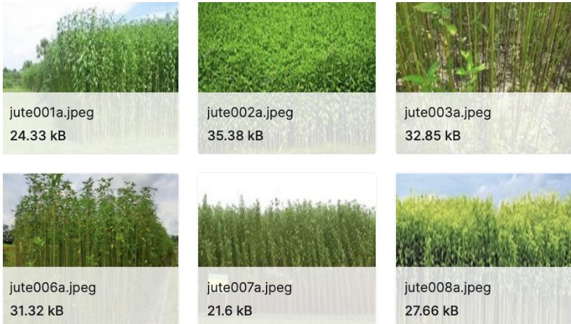 图像分类源代码,开源图像识别数据集