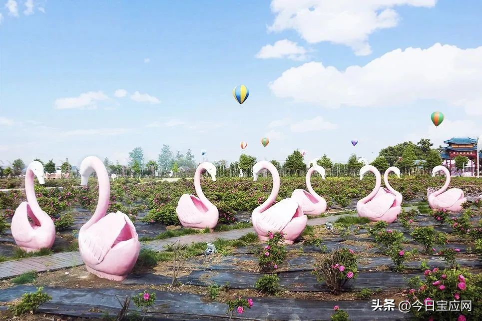 宝应曹金牛：带头致富有“牛”劲“耕”出美丽新农村