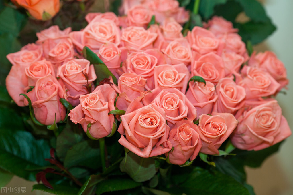 爱意荒凉完结,爱意荒芜小说