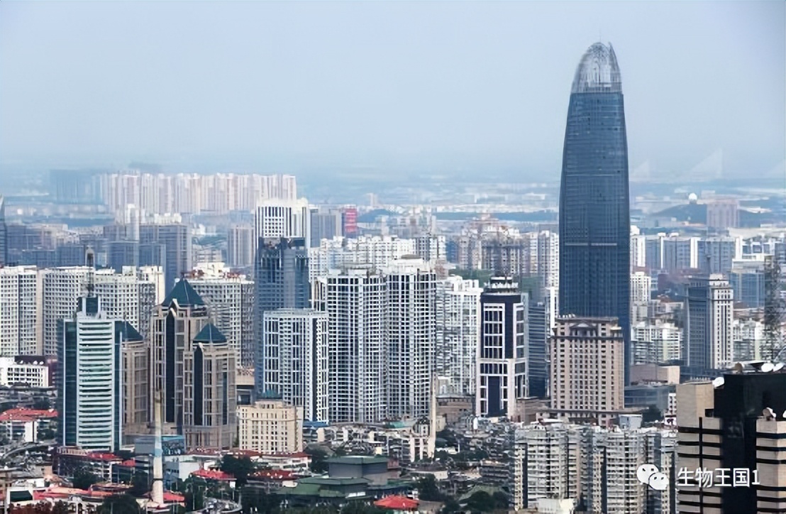 你认为山东哪个城市最美,山东省城市发展