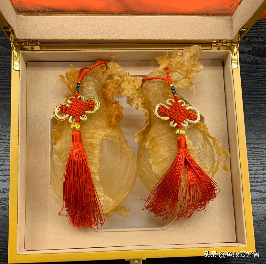 鱼胶小知识分享秒杀来了,鱼胶正确的选择方法是什么