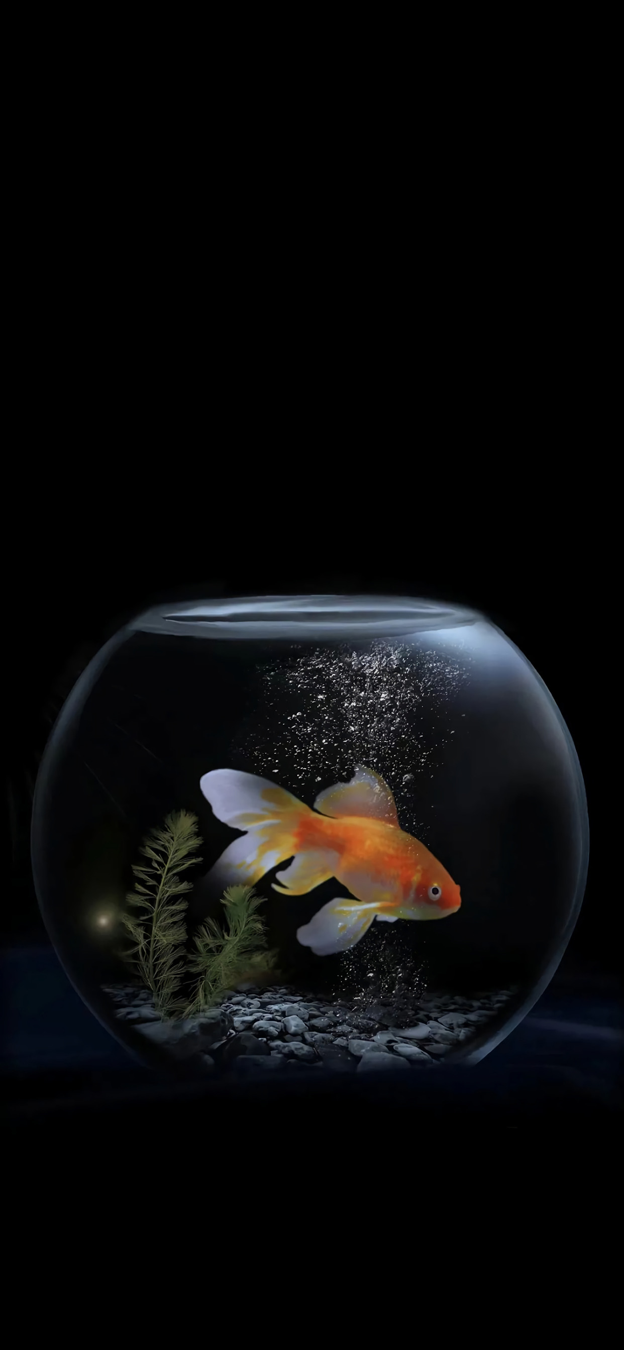 超好看的黑色系壁纸精选八张,又美又飒的黑色系壁纸