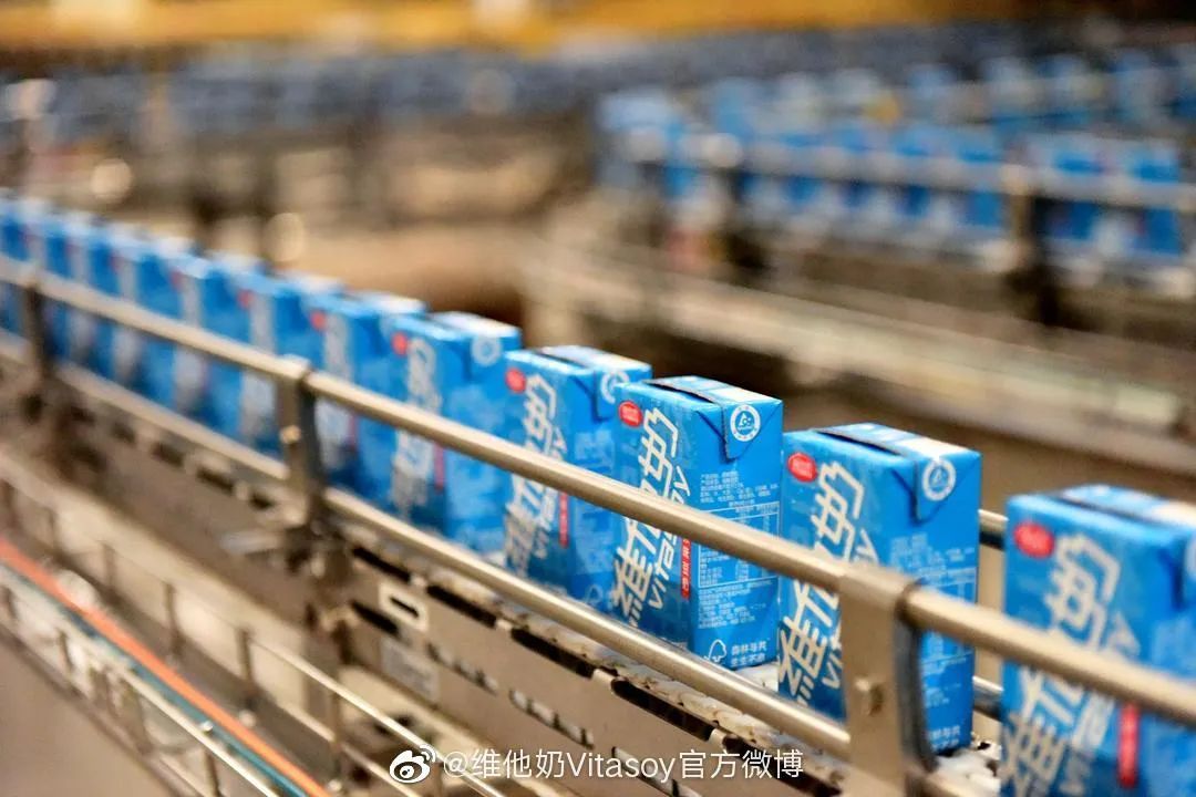 苏强维他奶,维他奶苏强