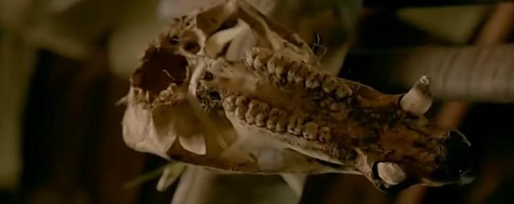 美国人在野外水中捕捉巨蟒,亚马逊河当地人水中抓巨蟒