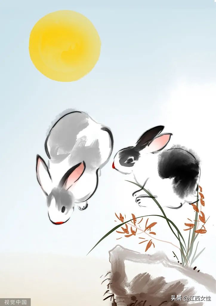 原来，你是这样的兔兔！