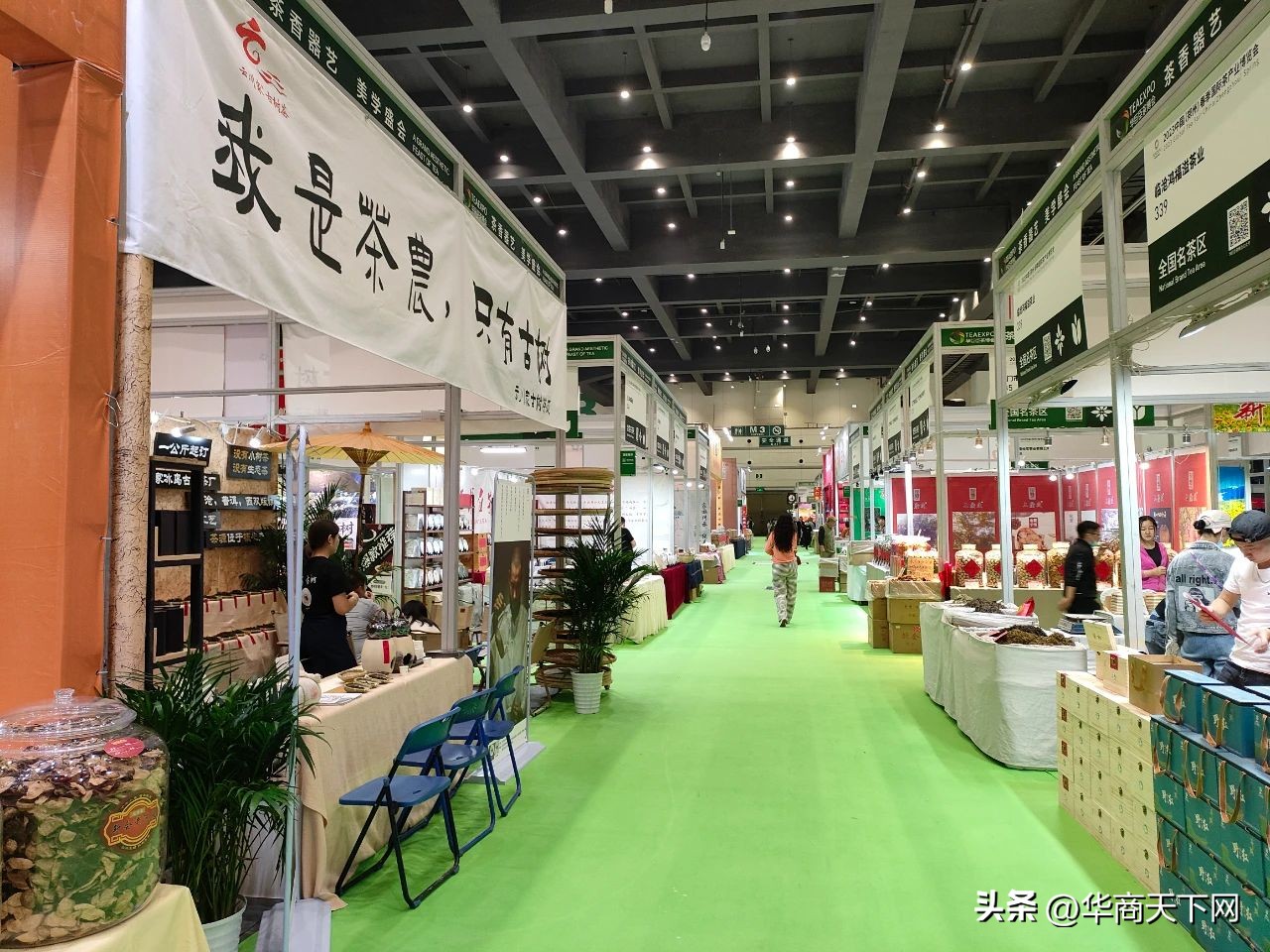 信阳毛尖事件央视,信阳毛尖事件头条