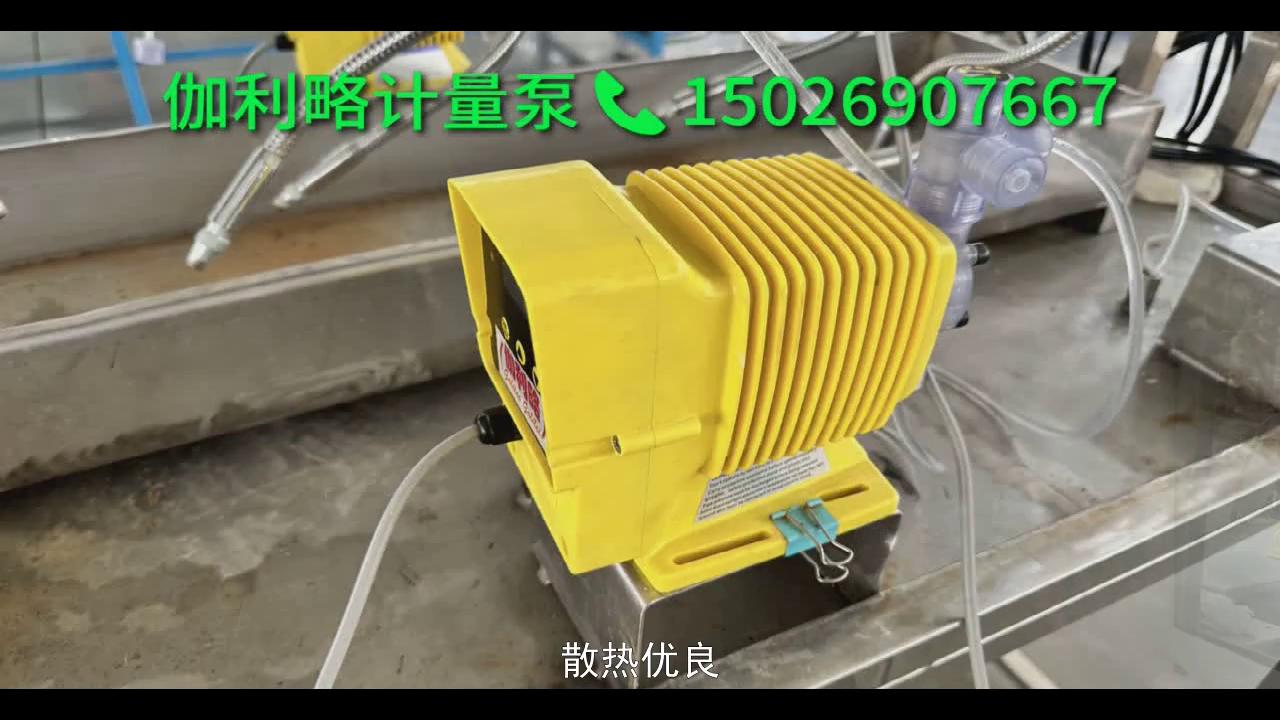 微型小型计量泵,微型脉冲计量泵