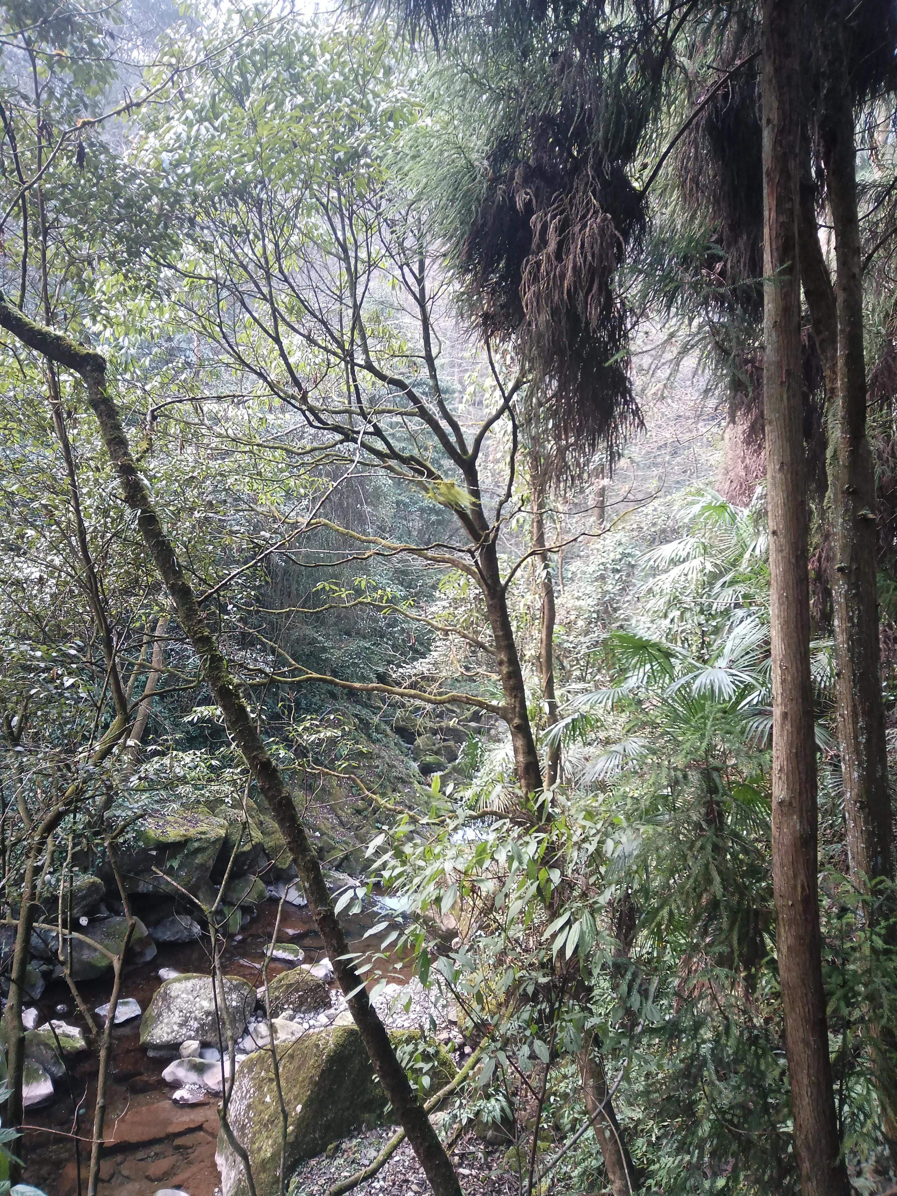 泰安古镇到青城后山,青城后山景区导览图