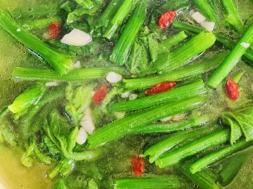 夏天养生必吃瓜常吃补水又消暑,夏天吃蔬菜增加免疫力