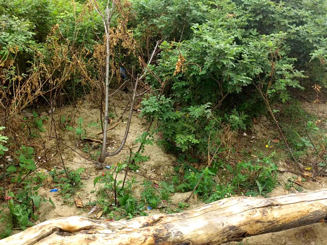 雨花台物业小区红黑榜,福马路物业排名