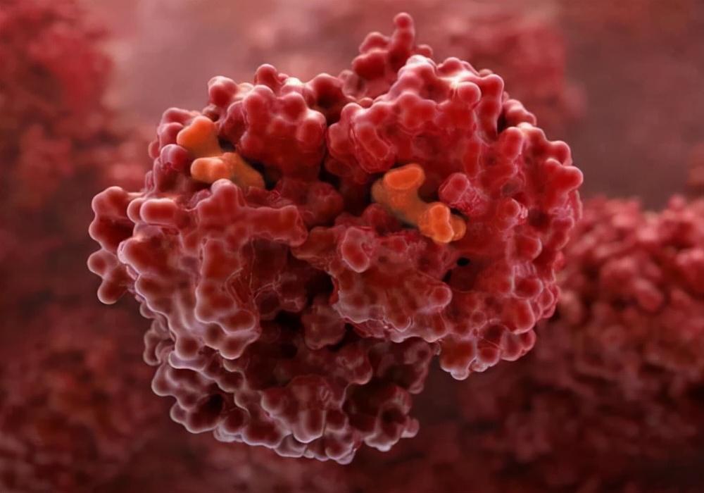 血常规检查有几项都升高,saa明显升高其他血常规指标正常