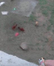 搞笑gif看着都提心吊胆还好没出事,搞笑gif表面稳中带皮实则慌中带急