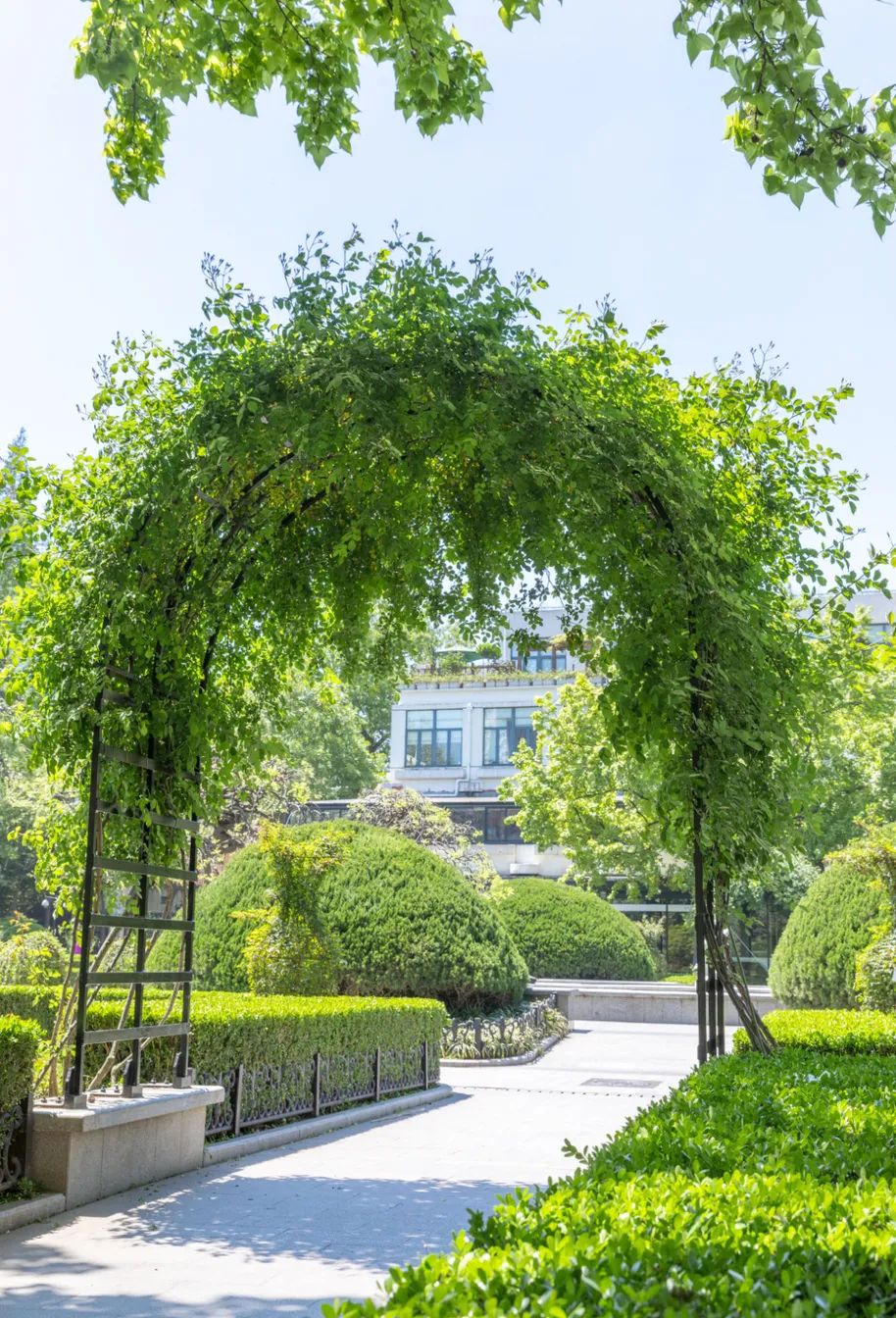 实用全上海532家公园攻略速速收藏,上海攻略必去的公园