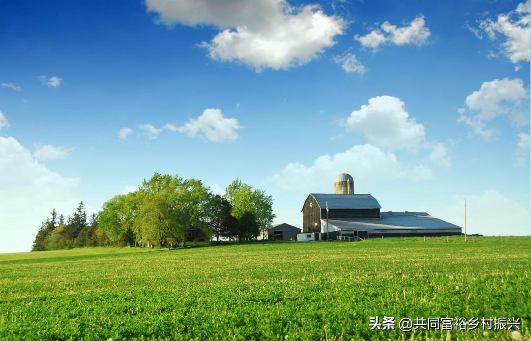 世界十大最顶尖的农产品强国,世界十大新型农业产品