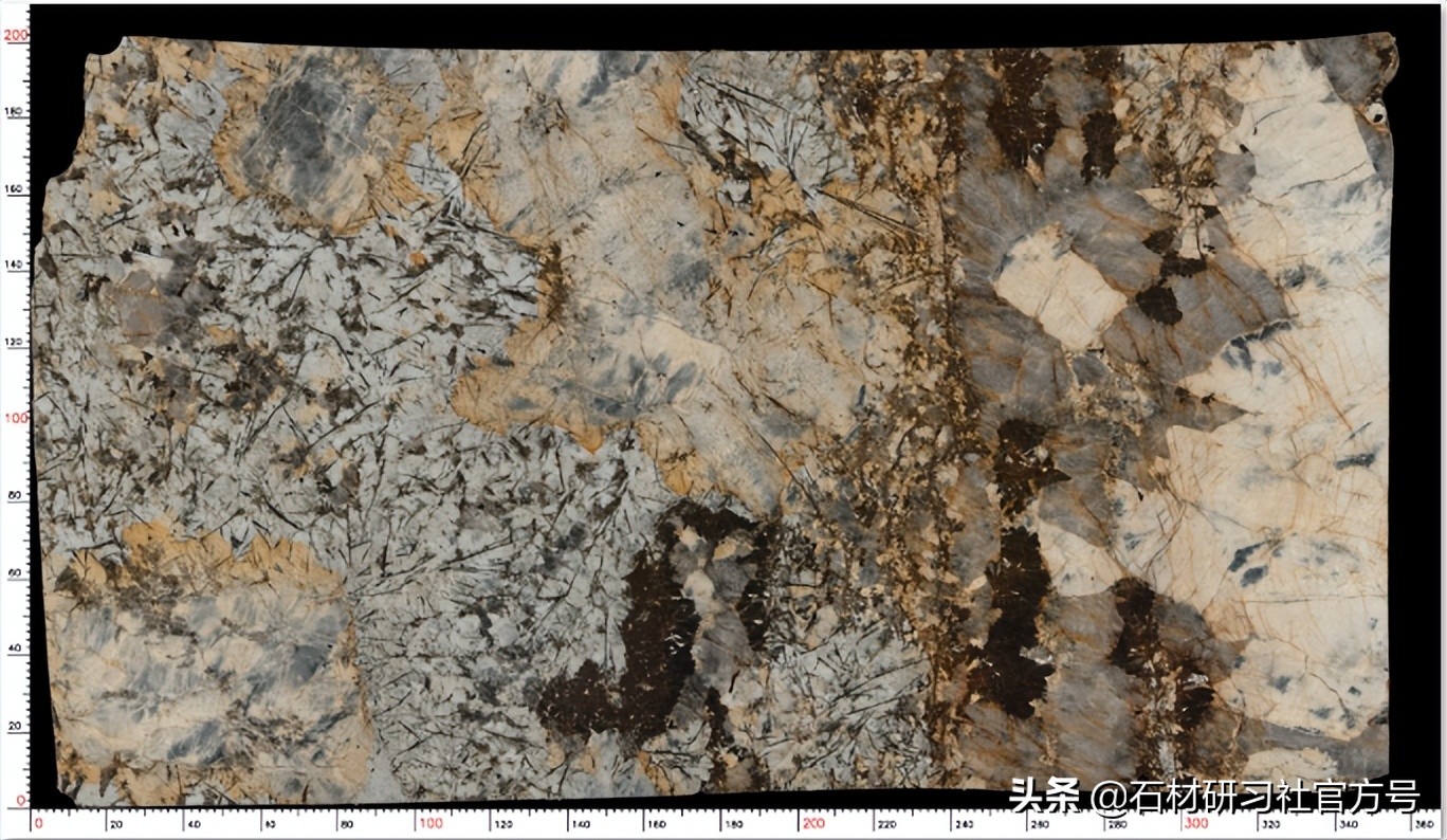 奢石详解,奢石知识科普