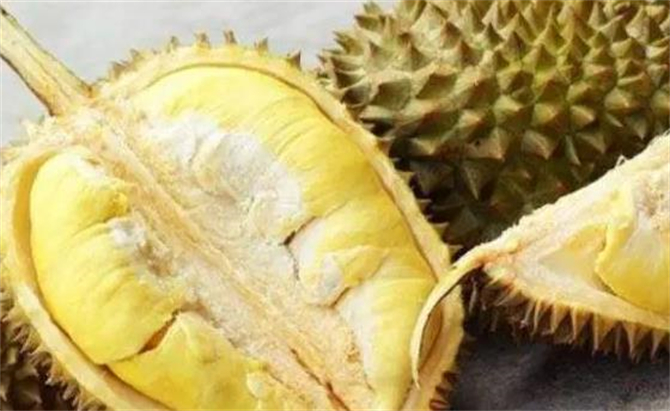 榴莲打开不熟硬的怎么补救,打开榴莲不熟要怎么放才能熟