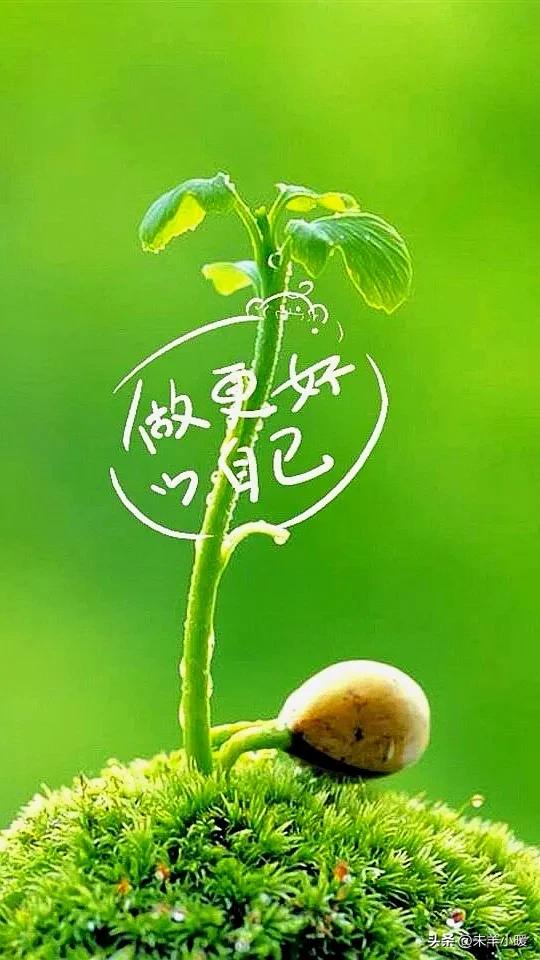 超清超美独一无二手机壁纸图片,养眼养心的壁纸