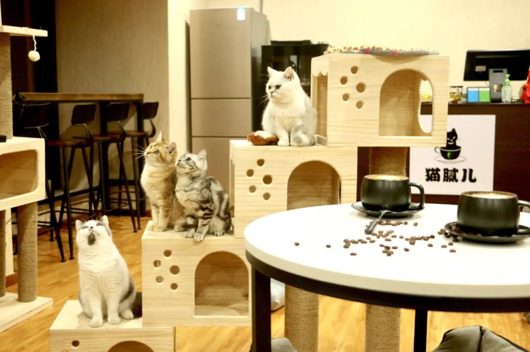 实体店即将崛起,2023实体店崛起