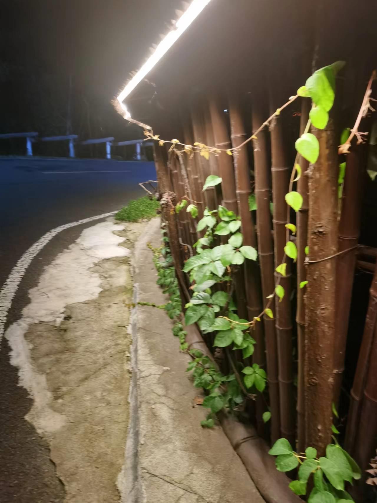 老界岭避暑92号山庄吃住全包,老界岭避暑胜地比较有名