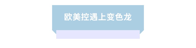 变色龙眼影大牌,银色变色龙眼影