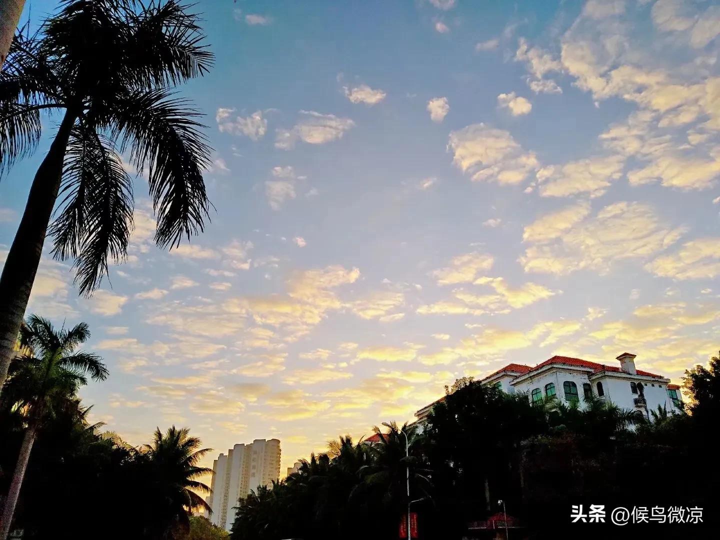 旅居海南记事：网购快递