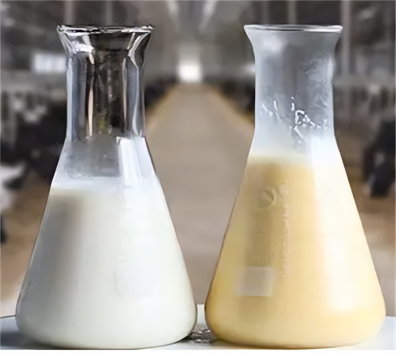 怎样检测牛奶中是否含有激素,牛奶的微生物检测方法