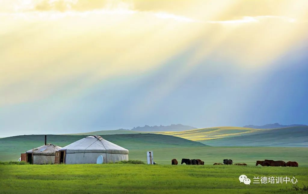 内蒙古五大任务学习心得,内蒙古公开培训总结