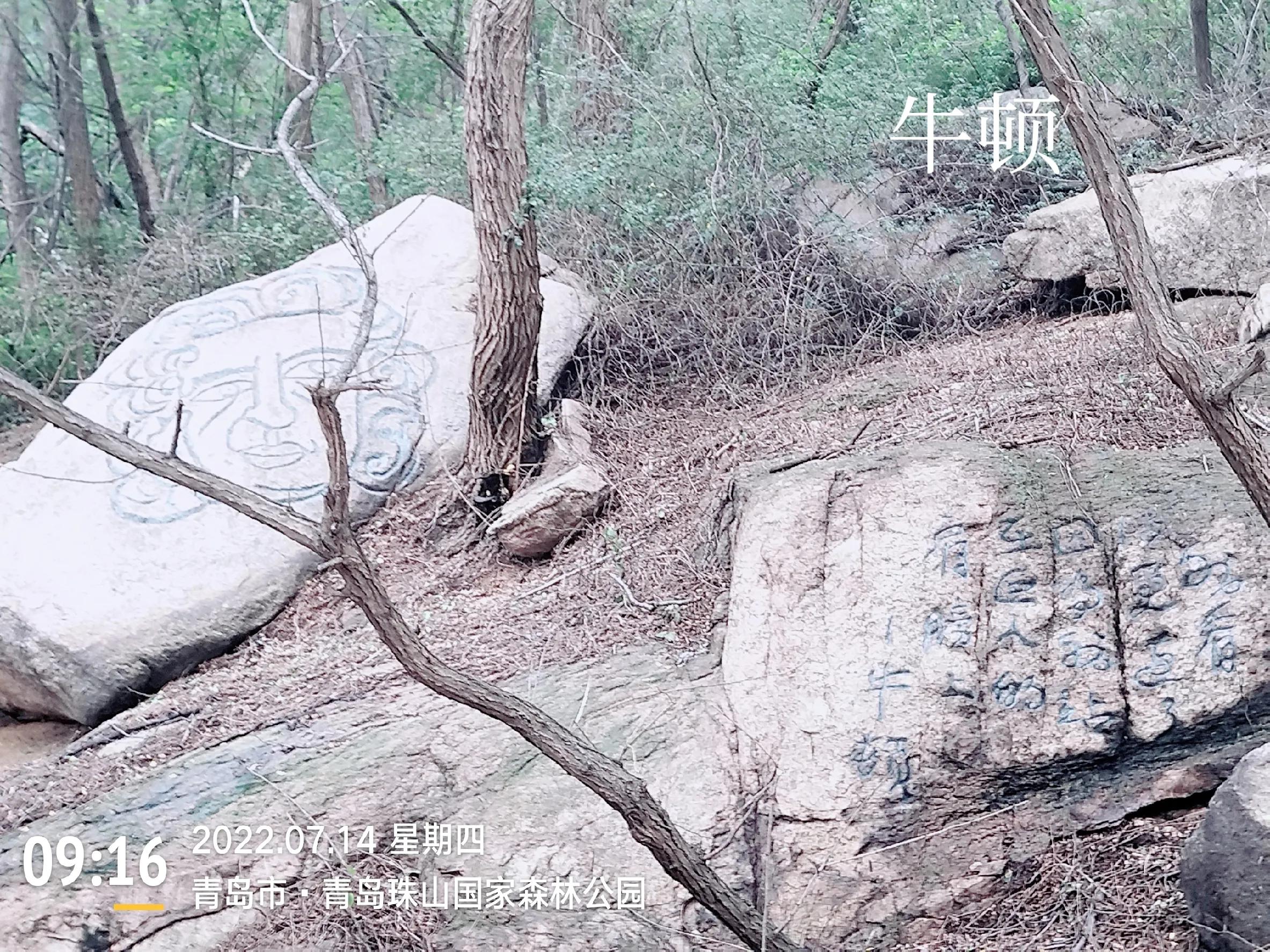 青岛珠山国家森林公园美景,黄岛旅游感受