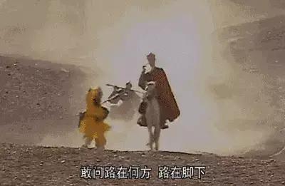 再见白龙马,无相白龙马