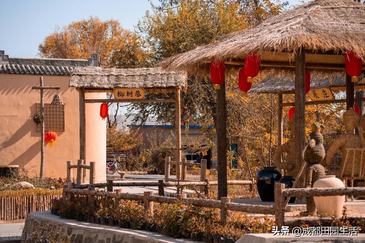 庭院经济：酒是一把锁，农家院子赚钱的门还能这么开