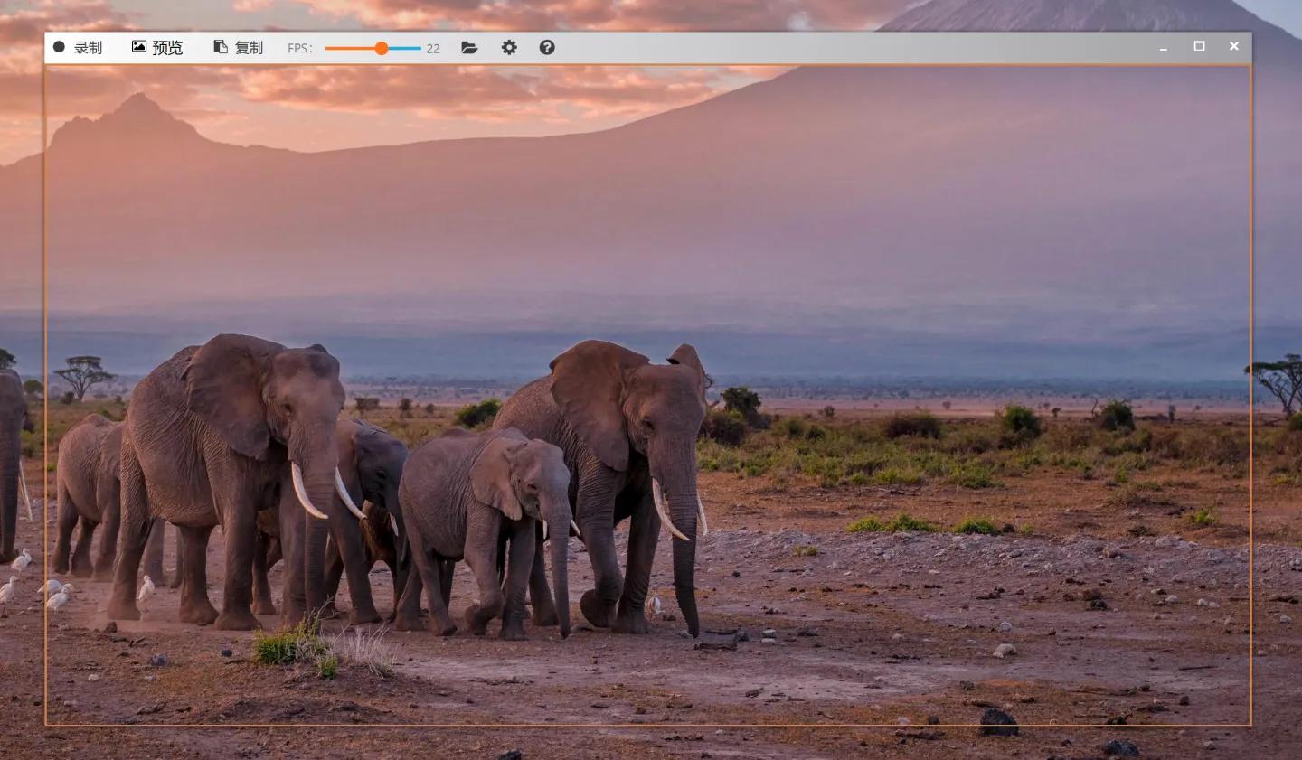 学生党必备十款软件,五款年轻人必备软件