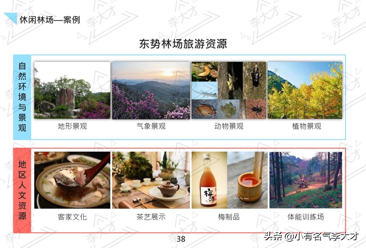 台湾乡村振兴战略案例,中国乡村振兴实施的成功案例