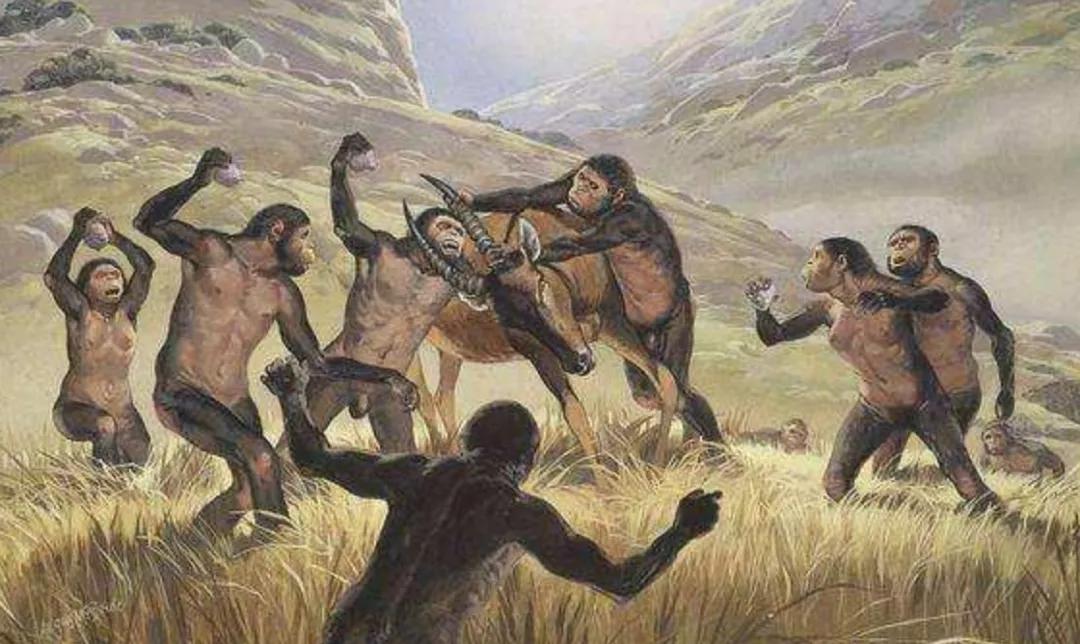 中国人祖先从哪来,中国人的祖先从哪来