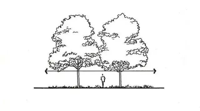 如何打造自己的小院,打造小院最省钱