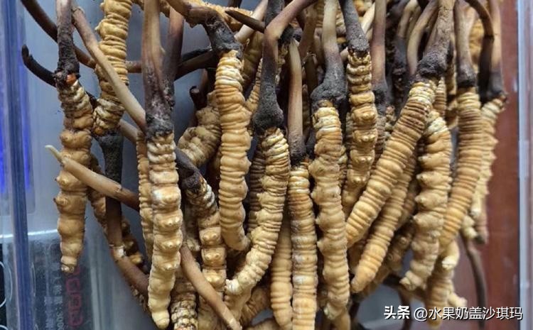 中国各地有名的特产是什么,中国各省市的著名特产