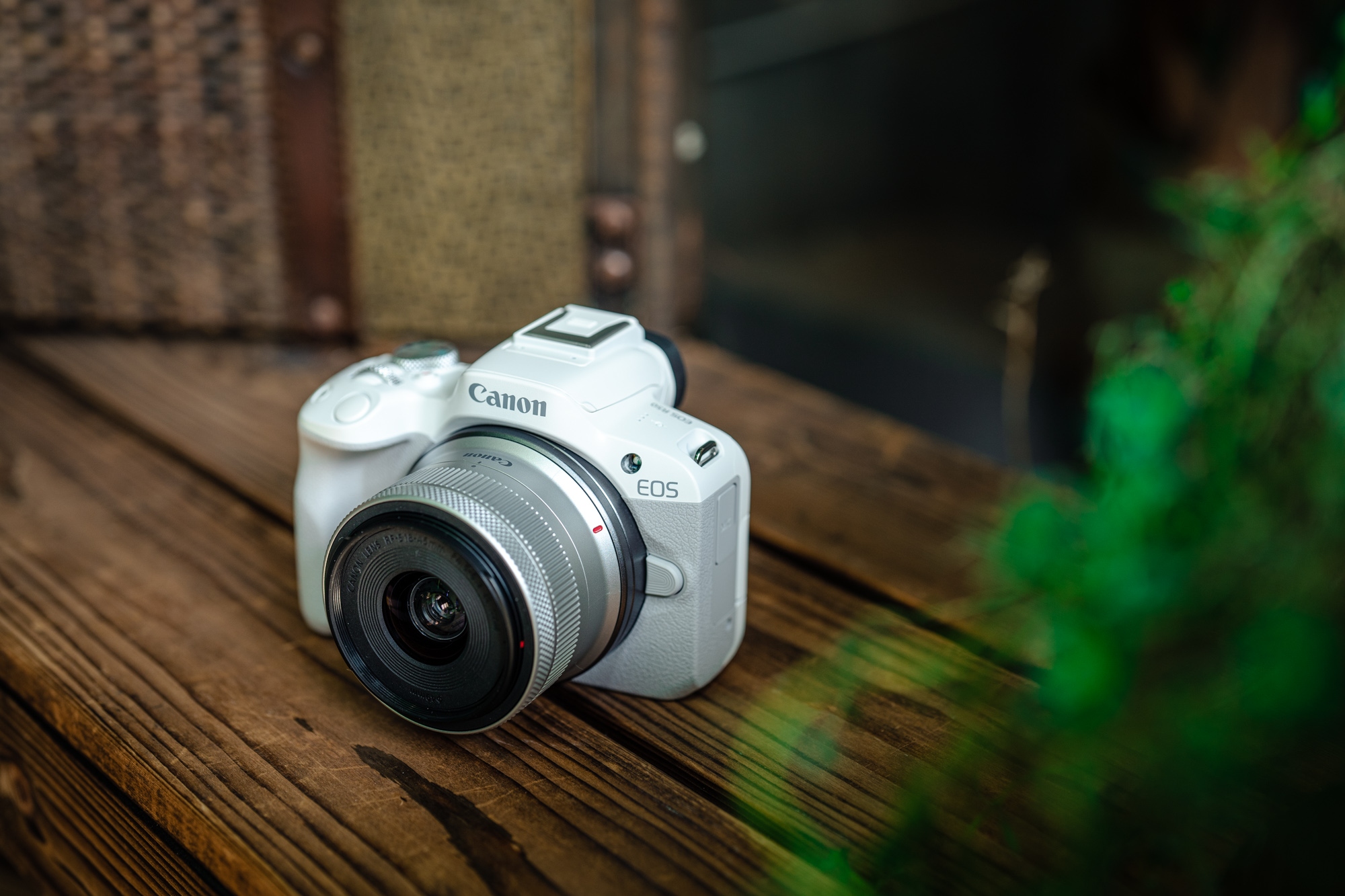 佳能eosr50详细介绍,佳能EosR50优缺点