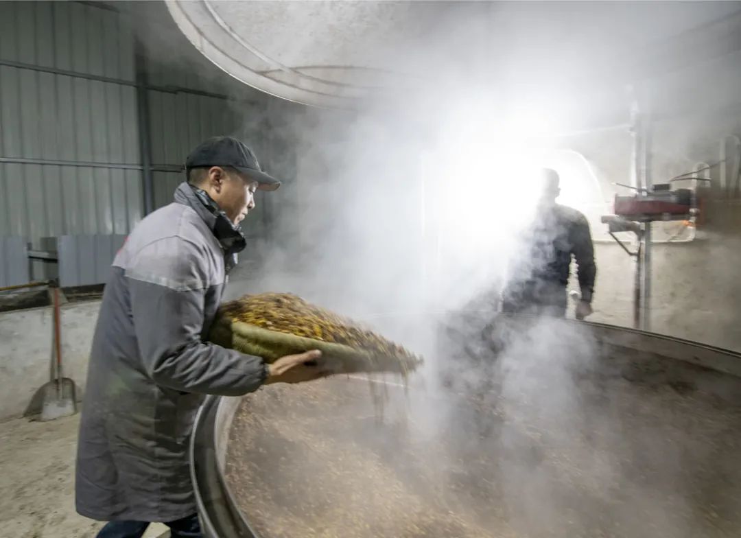 乡村振兴汶川县,我眼中的乡村振兴创业青年