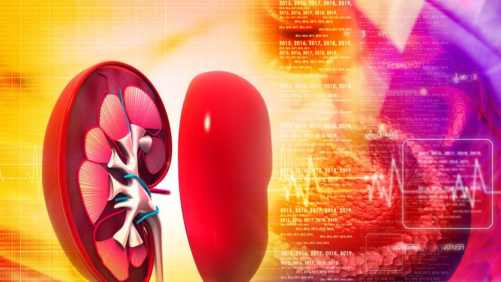 肾病引起高血压怎么治,肾病导致的高血压怎么办